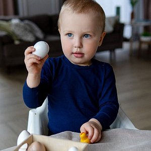 Набор игрушечных яиц в ящике LUKNO